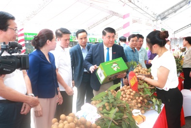 Quảng bá, kết nối tiêu thụ nhãn lồng và nông sản Hưng Yên tại Hà Nội