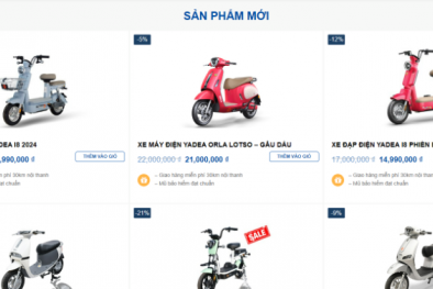 Quảng Ninh xử lý 2 cơ sở vi phạm trong thương mại điện tử