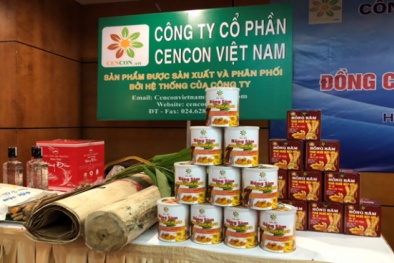 Công ty CP Cencon Việt Nam bị xử phạt do vi phạm nhiều lỗi