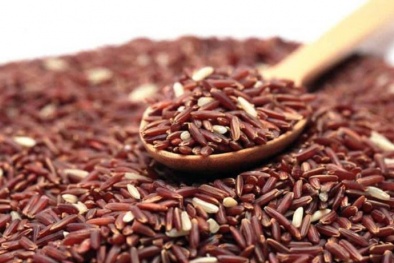 Nigeria giảm thuế nhập khẩu xuống 0% cho một số mặt hàng Việt Nam