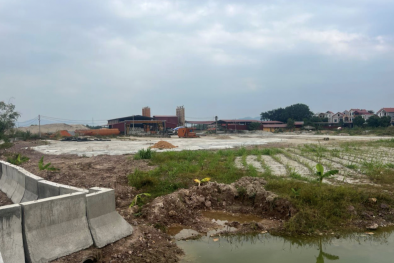 Xử phạt 260 triệu đồng đối với Công ty CP Bến Thủy do vi phạm quy định về môi trường