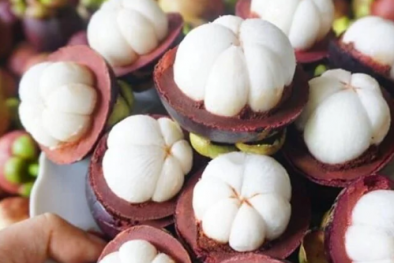 Nghiên cứu mới phát hiện hợp chất trong măng cụt có thể giúp hỗ trợ kiểm soát tiểu đường