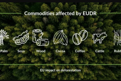 Tháo gỡ vướng mắc trong quy định EUDR, tạo động lực thúc đẩy doanh nghiệp xuất khẩu xanh
