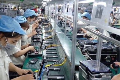 Thương mại Việt Nam và Singapore tăng mạnh trong tháng 7