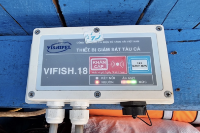 Tiền Giang chống khai thác IUU: 100% tàu cá tàu cá lắp đặt thiết bị giám sát hành trình 