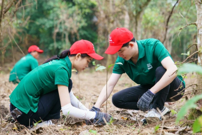 Phát triển nguồn nhân lực cho thị trường tín chỉ carbon cấp bách và mang tính chiến lược
