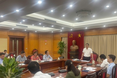 Họp Ban soạn thảo, Tổ biên tập dự án Luật sửa đổi, bổ sung một số điều của Luật Chất lượng sản phẩm, hàng hóa