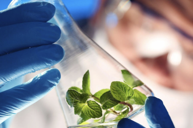 Chính phủ Singapore điều chỉnh một số quy định đối với hàng hóa 