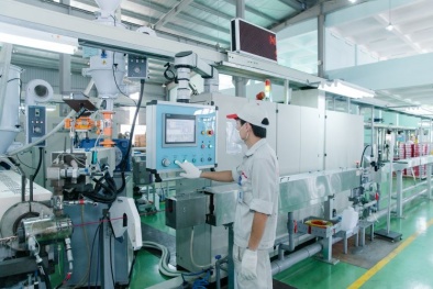 Ngân hàng Thế giới dự báo kinh tế Việt Nam tăng trưởng 6,1% năm 2024