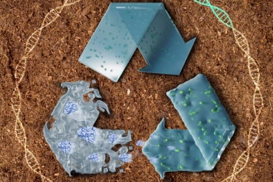 ‘Nhựa sống’ thân thiện môi trường chứa đựng mầm mống hủy diệt của chính nó