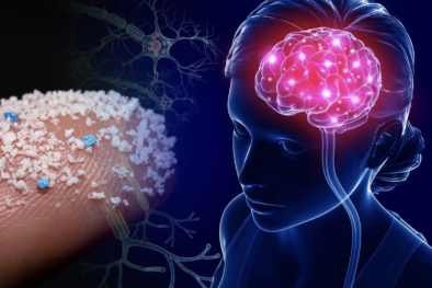 Nồng độ hạt vi nhựa chiếm khoảng 0,5% trong mô não người 