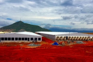 Xử phạt Công ty TNHH Làng Việt Nam do xả thải vượt quy chuẩn