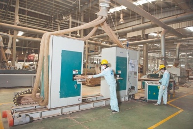 Bình Dương coi chuyển đổi kép là tất yếu để doanh nghiệp nâng cao năng suất và giảm phát thải