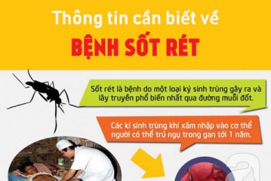 Cảnh báo về ca mắc sốt rét ác tính hiếm gặp
