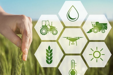 Tăng cường ứng dụng công nghệ, phát triển chuỗi giá trị nông sản bền vững