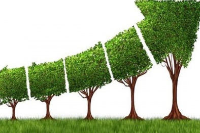 Thực trạng tăng trưởng xanh của các doanh nghiệp công nghiệp tại Hà Nội