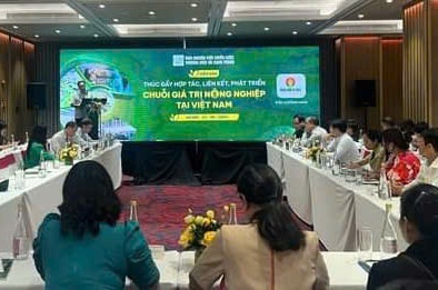 Liên kết trong chuỗi giá trị nông nghiệp còn thiếu cơ chế hợp tác, chia sẻ