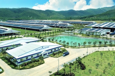 Tăng cường hỗ trợ doanh nghiệp chuyển đổi sang mô hình năng suất xanh