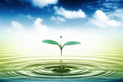 Nhiều chính sách nổi bật có hiệu lực từ tháng 9/2024 