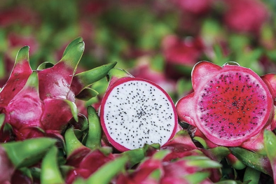 Nông sản Việt Nam rộng đường xuất khẩu sang các thị trường lớn