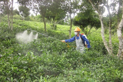 TCVN 8927:2023 hướng dẫn chung về công tác phòng, chống sâu hại cây rừng