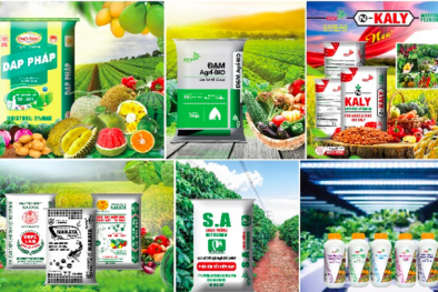 Công ty Phân bón Con Cò Vàng bị phạt 320 triệu đồng vì hàng loạt sai phạm