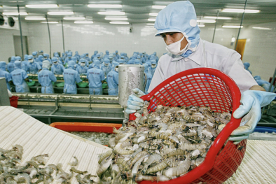 Hướng đến đàm phán nghị định thư xuất khẩu thủy sản sang Trung Quốc