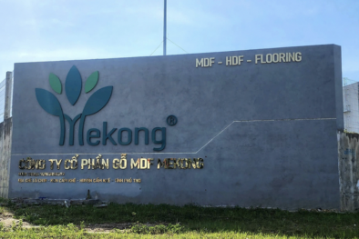 Xử phạt Công ty CP Gỗ MDF Mekong do xả thải vượt quy chuẩn kỹ thuật