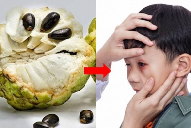 Cảnh báo bỏng giác mạc do dùng rượu ngâm hạt na gội đầu