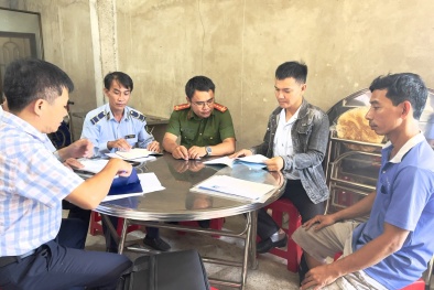 Quảng Ngãi: Kiểm tra, xử lý phân bón giả, phân bón không đảm bảo chất lượng