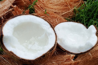 Dừa sáp Trà Vinh chính thức được bảo hộ chỉ dẫn địa lý 