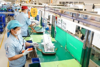 Hơn 168.000 doanh nghiệp lập mới và quay lại hoạt động trong 8 tháng năm 2024