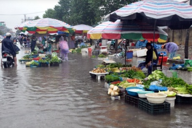 Bộ Y tế khuyến cáo: Người dân tuyệt đối không ăn thịt động vật chết