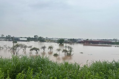 Hàn Quốc viện trợ nhân đạo trị giá 2 triệu USD hỗ trợ Việt Nam khắc phục thiệt hại do bão Yagi gây ra