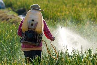 Quy định mới của Canada về dư lượng thuốc trừ sâu Abamectin doanh nghiệp Việt cần lưu ý