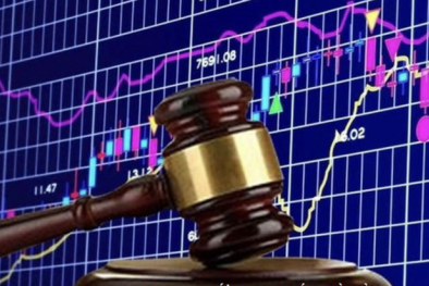 Công ty Nice Star và Nam Land bị xử phạt do vi phạm trong công bố thông tin