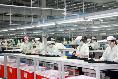 Doanh nghiệp có thể tự lập mã truy vết tài sản trong truy xuất nguồn gốc? 