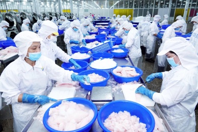 Quảng Trị: Tăng cường truy xuất nguồn gốc trong chuỗi cung ứng nông, thủy sản 