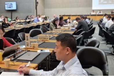 Đánh giá sự phù hợp sản phẩm trong bối cảnh thương mại điện tử