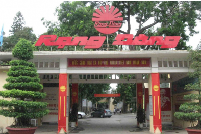 Xử phạt Bóng đèn Phích nước Rạng Đông gần 5,3 tỷ đồng