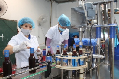 Ứng dụng công nghệ trong sản xuất, chế biến nâng cao chất lượng sản phẩm OCOP tại Thanh Hóa