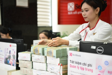 Ngân hàng tiên phong đón đầu làn sóng kinh tế xanh lam