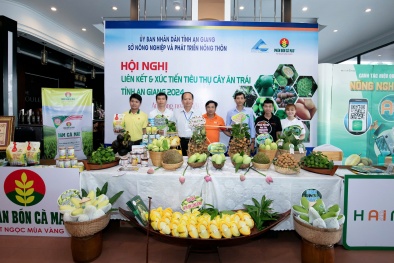 Phân Bón Cà Mau đồng hành cùng tỉnh An Giang nâng cao giá trị cây ăn trái