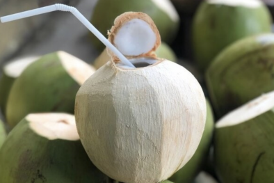 Trái dừa tươi Việt Nam sẵn sàng xuất khẩu vào thị trường Trung Quốc