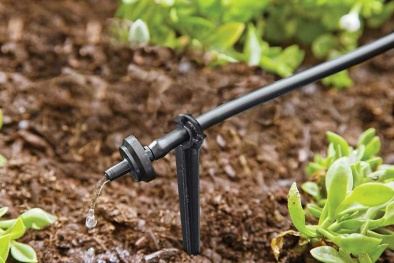 Hậu Giang đẩy mạnh ứng dụng khoa học công nghệ nâng cao năng suất và chất lượng nông sản