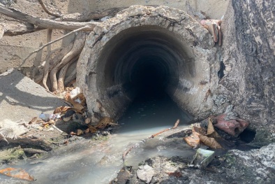 Bà Rịa - Vũng Tàu: Quán ốc Tự Nhiên bị phạt hơn 310 triệu đồng do xả thải ra biển