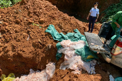 Cao Bằng xử lý trên 1,2 tấn chân gà đông lạnh không rõ nguồn gốc, xuất xứ