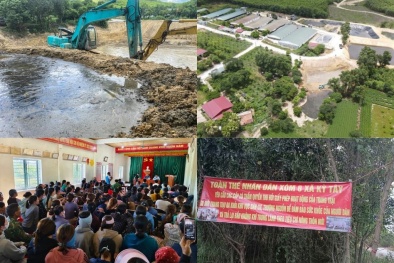 Hà Tĩnh xử phạt trang trại chăn nuôi gần 240 triệu đồng do xả thải vượt quy chuẩn