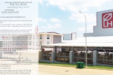 Công ty TNHH Emivest Feedmill Việt Nam bị xử phạt 282 triệu đồng do xả thải vượt quy chuẩn