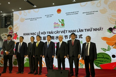 Lần đầu tiên, Việt Nam tổ chức Lễ hội trái cây tại Trung Quốc